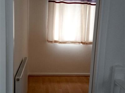 Picture 19